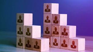 Japanese alt text: 人的資本経営推進支援