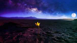 Japanese alt text: 宇宙システムにかかわるレジリエンス