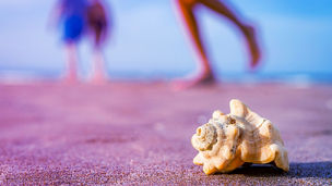 Japanese alt text: 湘南ベルマーレとともに地域一体で取り組むビーチクリーンイベントを3年連続開催