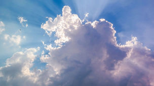 Japanese alt text: 気候変動適応における事業機会創出およびリスク対応支援サービスの提供を開始