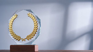 Japanese alt text:日本のパートナー企業として初の単独受賞「Coupa Sales Partner of the Year」をAPAC部門で受賞