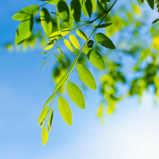 Japanese alt text: Our History：KPMGコンサルティングの歩み