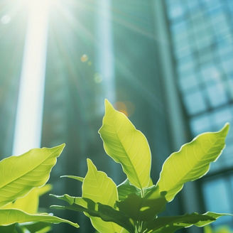 Japanese alt text: KPMGコンサルティングのサステナビリティ経営