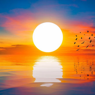 The big sun at dawn on the sea with beautiful reflections and flocks of birds in flight.