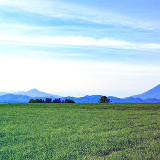 Japanese alt text: ニセコの風景
