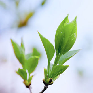 あずさオフィスメイト