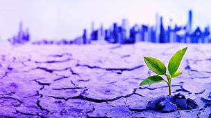 Alt text：不確実性の高い世界を生き抜くために求められる組織レジリエンスとは？