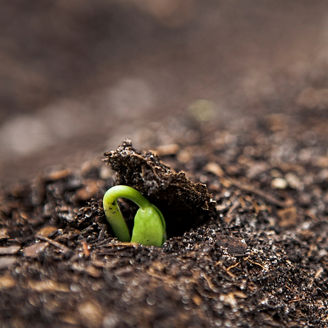 Japanese alt text: 企業成長につながる従業員のレジリエンス向上とは