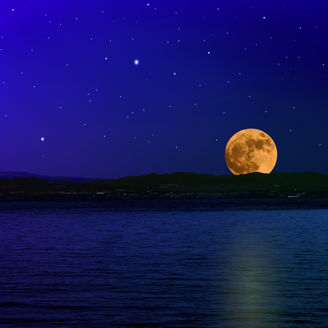 Japanese alt text: 法務コンプライアンス情報