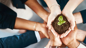 小さな苗を守る人たち