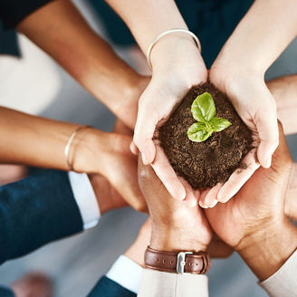 小さな苗を守る人たち