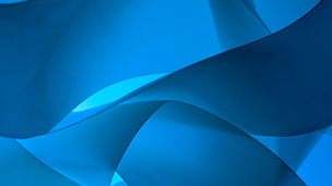 Japanese alt text: KPMG and Salesforce_画像3