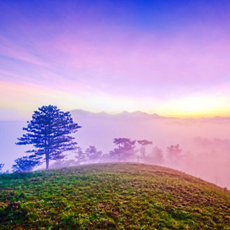 SBTs for Nature 技術ガイダンスv1.0の解説（1）