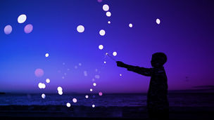 jp-sbts-for-nature-summary4