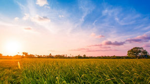 Japanese alt text: 小規模自治体におけるスマートシティの社会実装