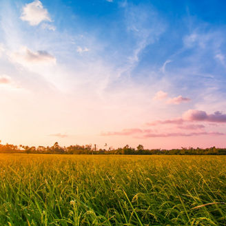 Japanese alt text: 小規模自治体におけるスマートシティの社会実装