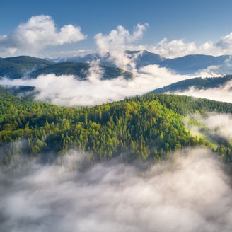 Mountains in clouds at sunrise in summer. Aerial view of mountain peak with green trees in fog. Beautiful landscape with high rocks, forest, sky. Top view from drone of mountain valley in low clouds 