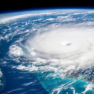 有価証券報告書　サステナビリティ情報開示に関する調査