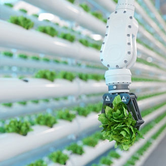 Japanese alt text: 野菜のロボット栽培