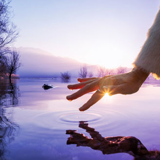 Japanese alt text: 激動のサステナビリティ規制にどう備えるか