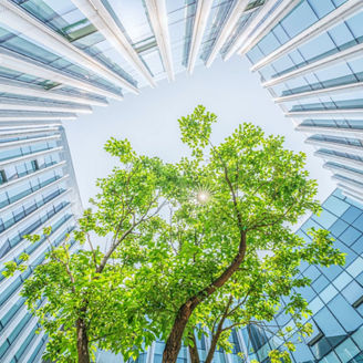 ビルのなかの木