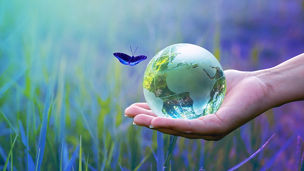 蝶と差し出す手