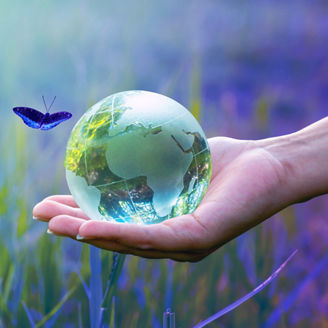 蝶と差し出す手