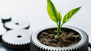 Metal gears with little plant on white background.