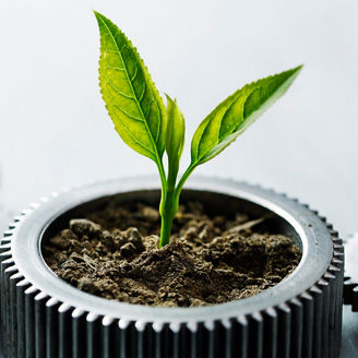 Metal gears with little plant on white background.