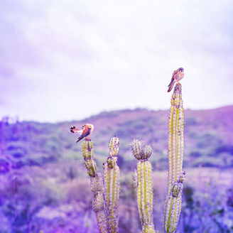 Net Zero Readiness Report 2023 日本語抄訳版