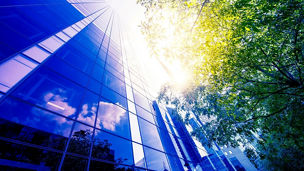 金融機関とTNFD開示ベータ版フレームワーク