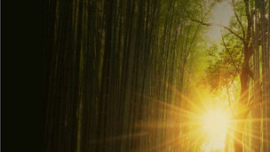 サステナブルな成長に向けた報酬