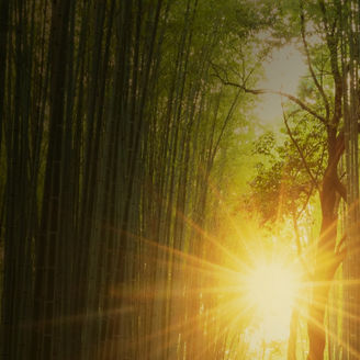 サステナブルな成長に向けた報酬