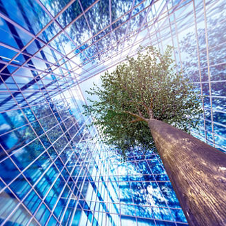 財務関連サステナビリティ情報の保証を巡る動向