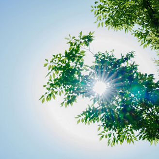 TNFD開示ベータ版フレームワークV0.3の解説