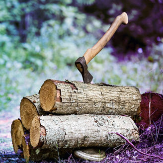 Japanese alt text: EU森林破壊防止規則の延期：ビジネスへの影響と対応策