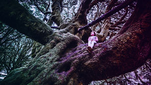 Japanese alt text: 森林破壊防止規則（EUDR）とサステナブルサプライチェーンへの影響