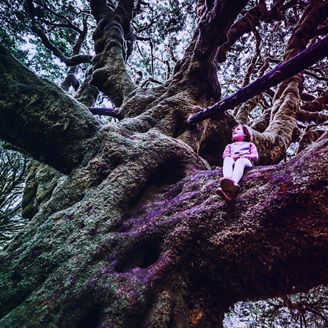 Japanese alt text: 森林破壊防止規則（EUDR）とサステナブルサプライチェーンへの影響