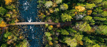 Aerial view of fast river flow through the rocks and colorful forest. Autumn in Finland, Oulanka national park.