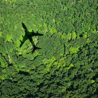 森に落ちる飛行機の影