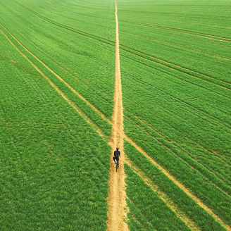草原の一本道を自転車で進む人