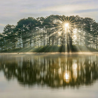 光が差し込む木々が映る湖