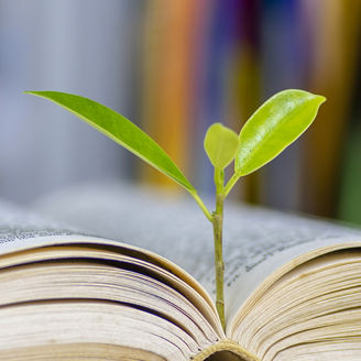古書と若芽