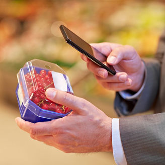 Japanese alt text: スタートアップ思考から学ぶ - 戦略的市場で成長するためには　グローバル消費財流通企業　エグゼクティブ　トップ・オブ・マインド調査2017