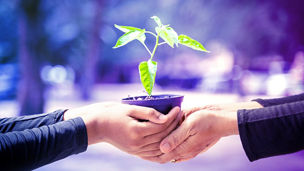 金融機関とTNFD提言