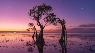 TNFDフレームワークv1.0公表 - 新たな自然関連情報開示の幕開け