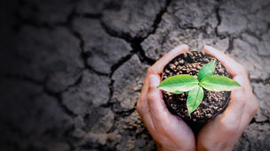 社会的インパクト定量化支援（True Valueメソドロジ－）