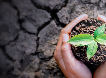 社会的インパクト定量化支援（True Valueメソドロジ－）