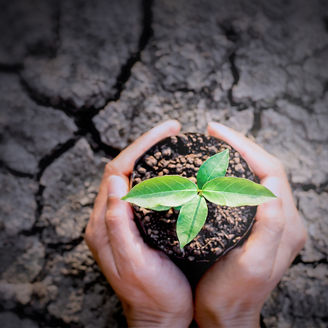 社会的インパクト定量化支援（True Valueメソドロジ－）