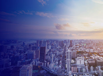 Venture Pulse Q4 2024　Global analysis of venture funding　日本語抄訳版